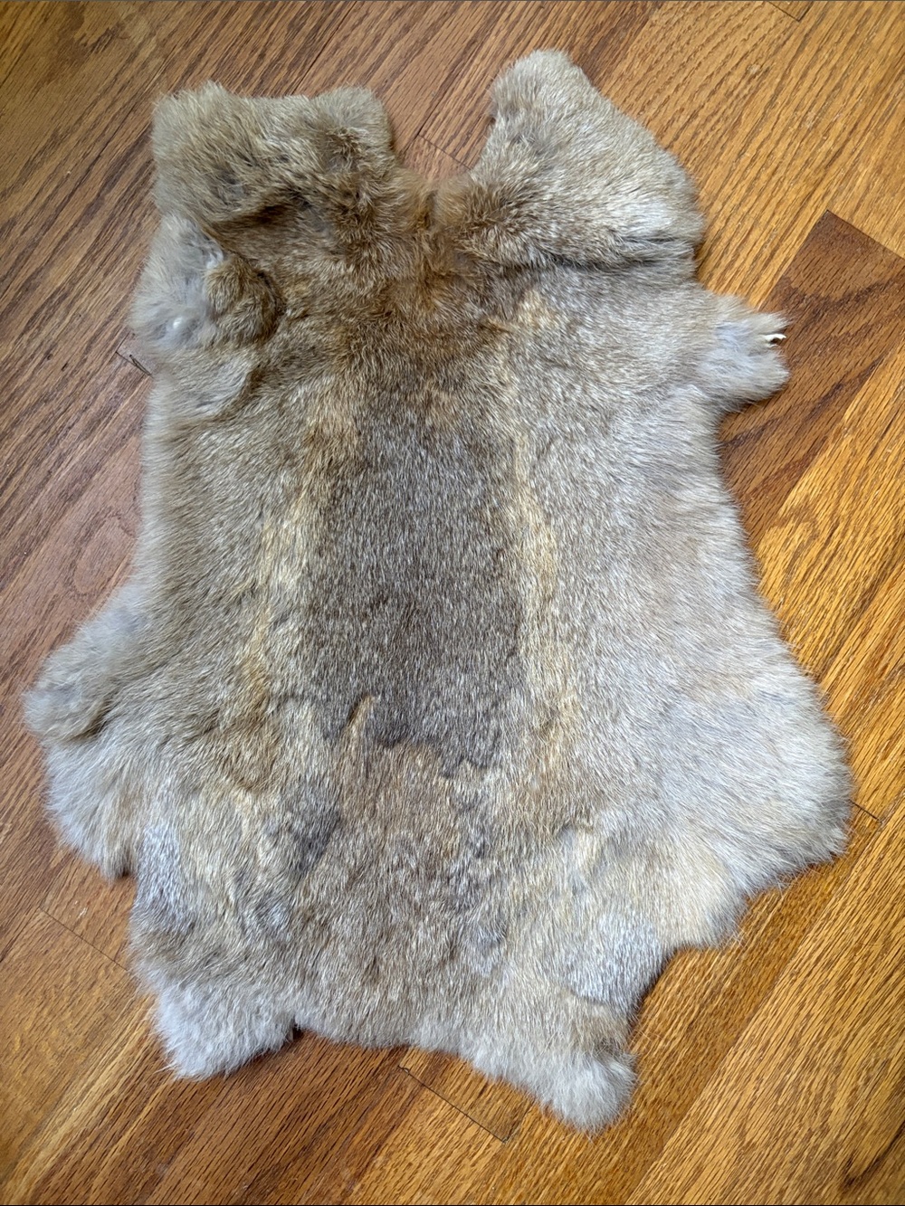 B0262 natural rabbit fur pelt